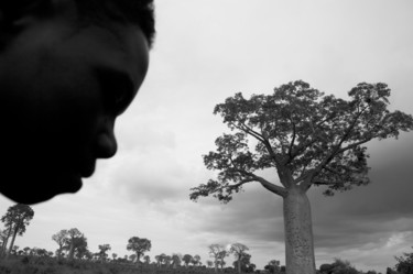 Ragazzo e Baobab